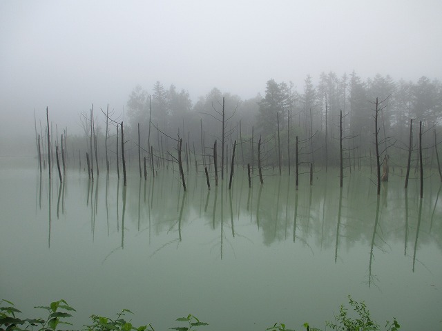 白金青い池