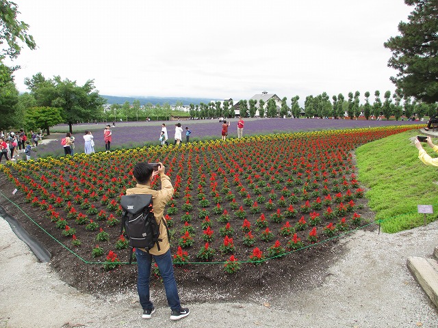 �t�@�[���x�c