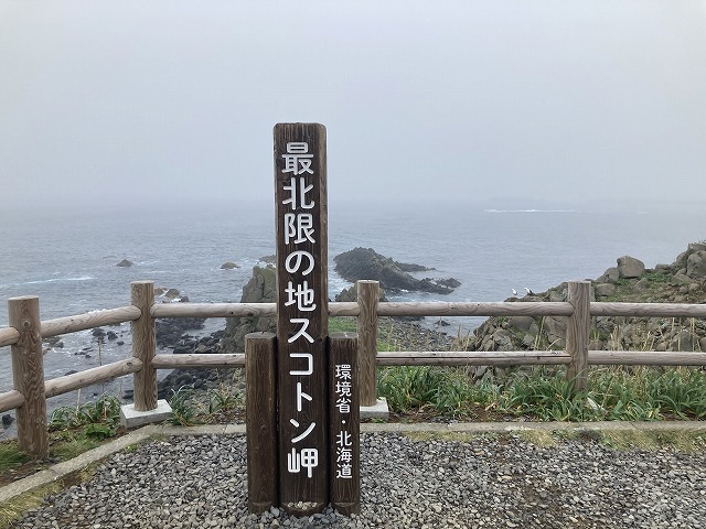 �X�R�g����