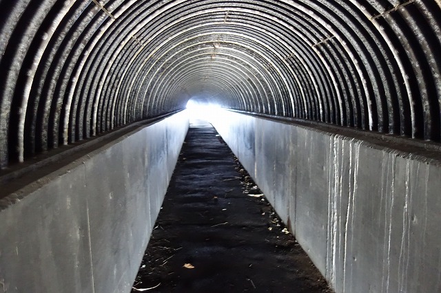 �����ӊC��