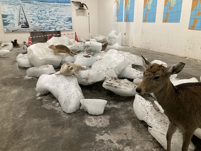 �@�J�����X��