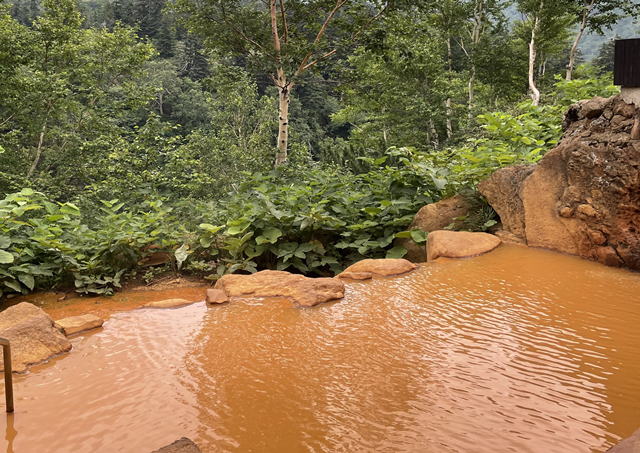 ���� ���_�t