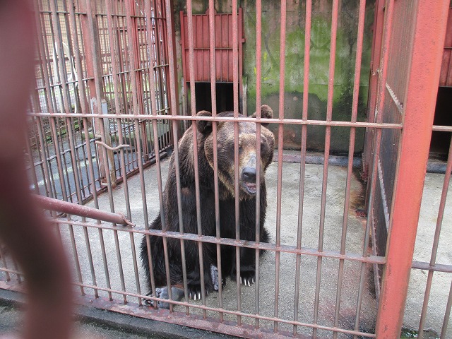 ウポポイ 民族共生象徴空間　しらおいポロトコタン