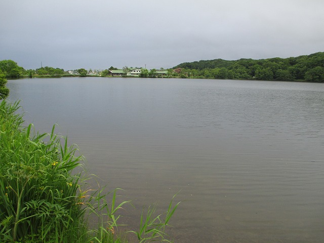 ウポポイ 民族共生象徴空間　しらおいポロトコタン