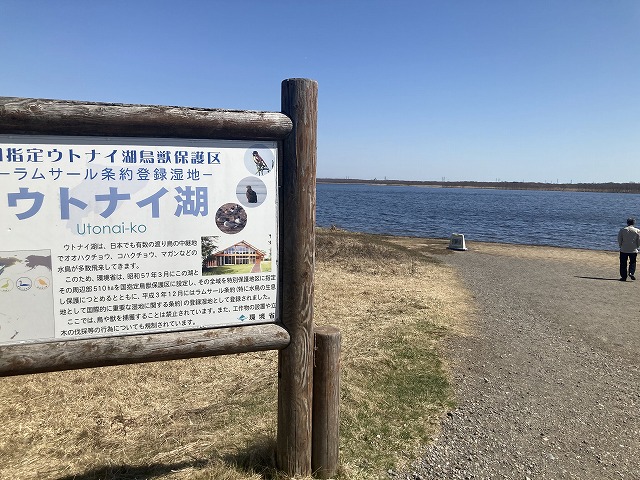 �E�g�i�C��