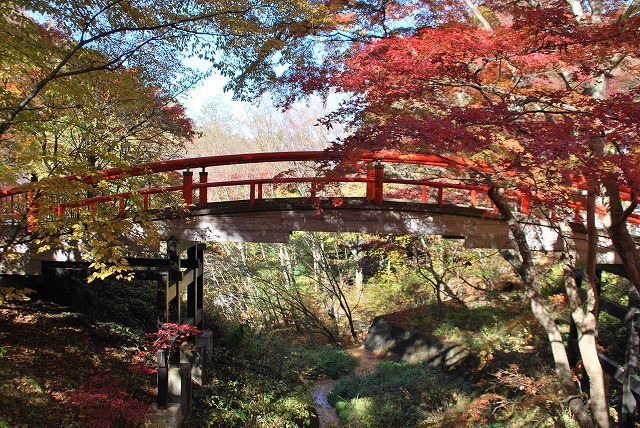 �ɍ��ۉ���