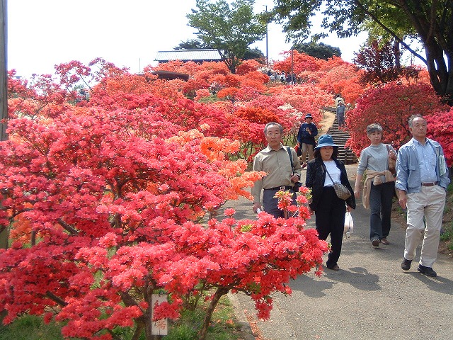笠間つつじ公園