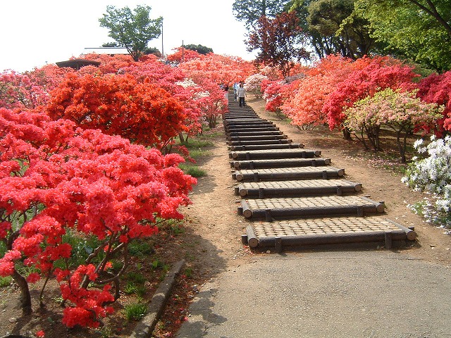 笠間　つつじまつり