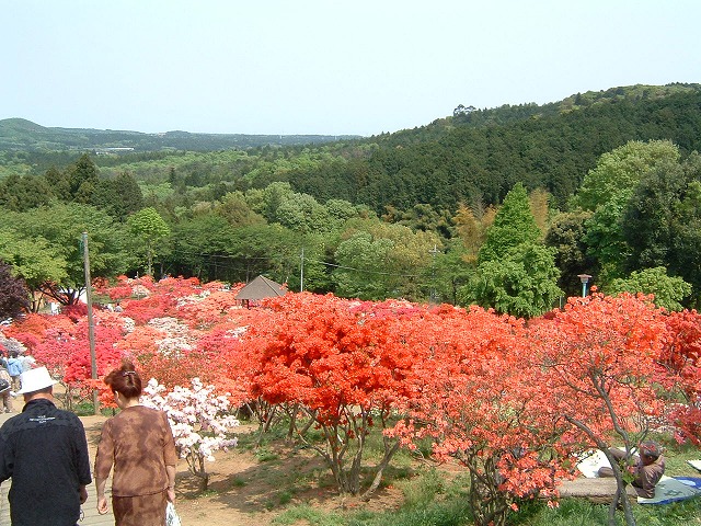 笠間つつじ公園