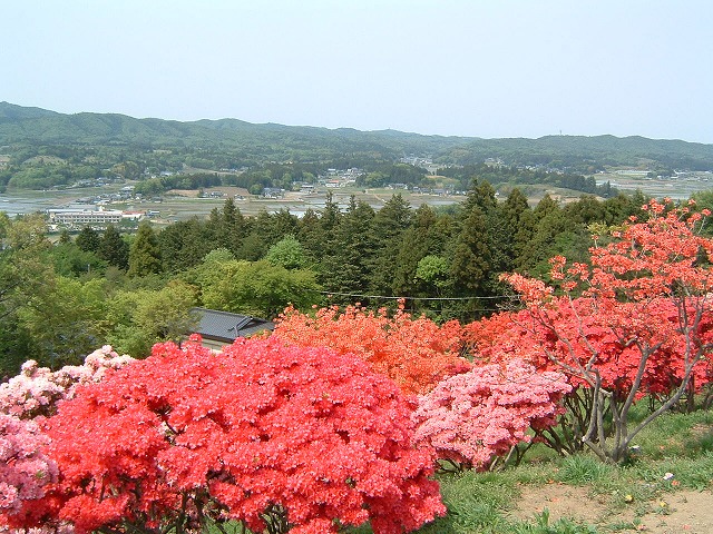笠間つつじ公園