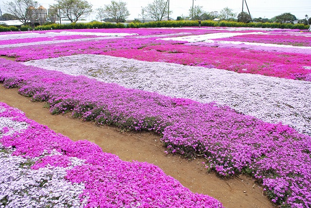 東庄町 東庄ふれあいセンター