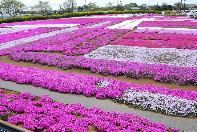 東庄町 東庄ふれあいセンター