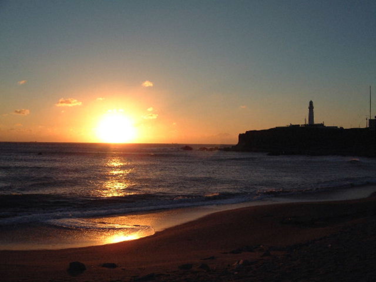 �N���l�ƌ��i�铔��