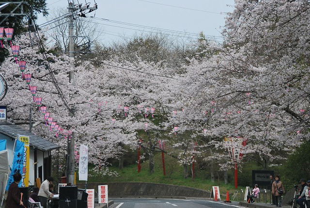 小見川城山公園