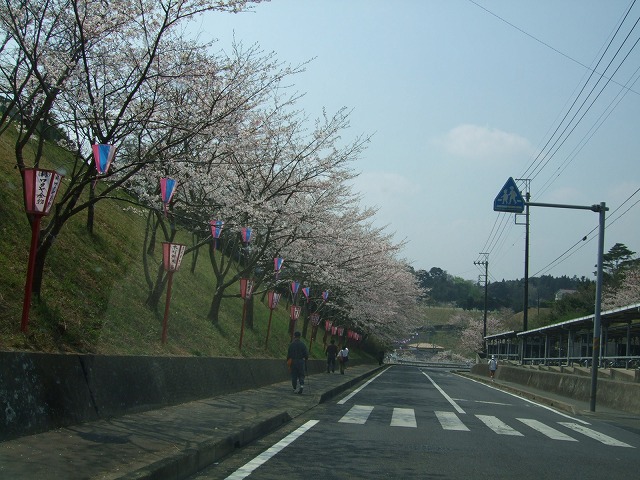 小見川城山公園