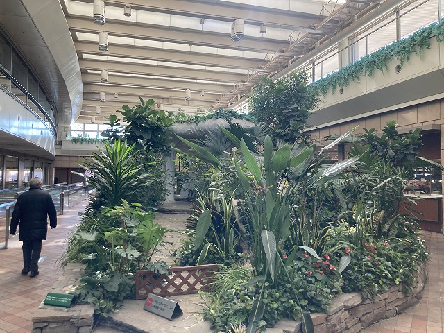 �������ۋ�`�i�H�c��`�j