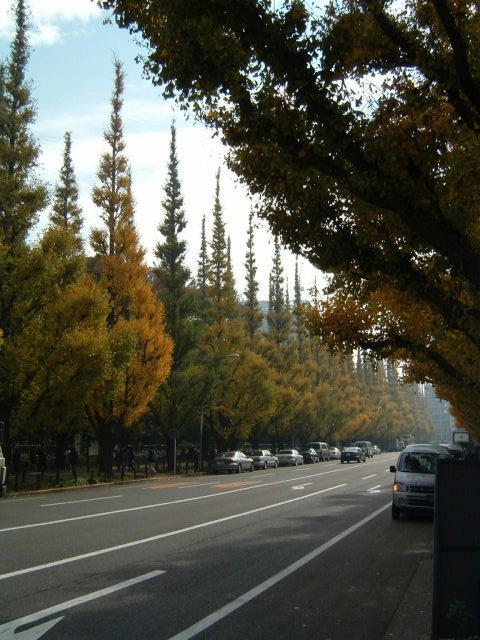 �����_�{�O�� �����傤����