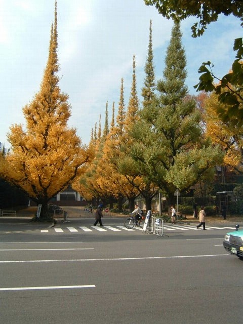 �����_�{�O�� �����傤����