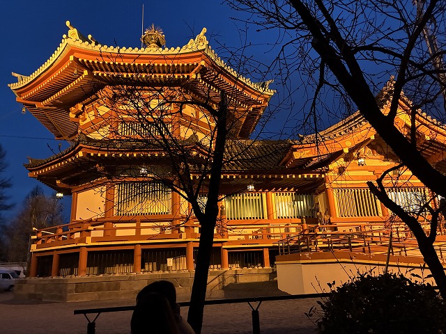 ��쉶������