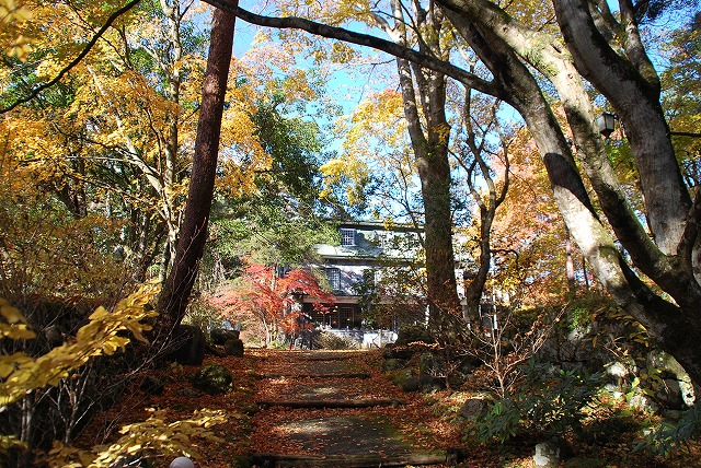 西洋料理 明治の館