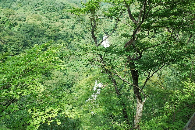 山のレストラン