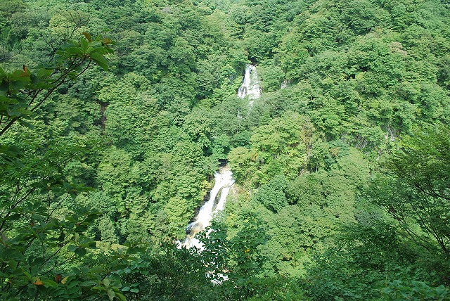 山のレストラン