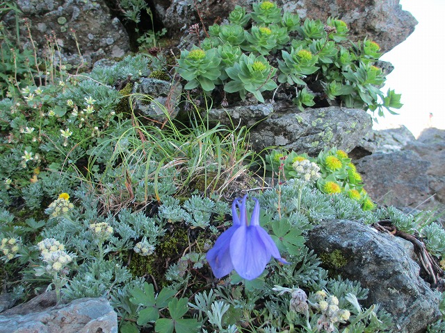 北岳、間ノ岳登山