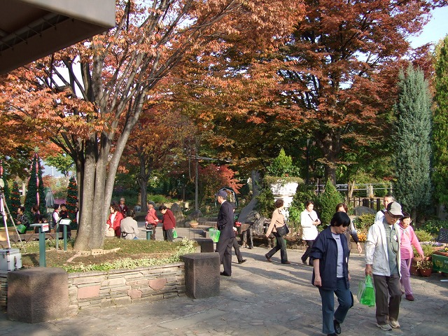 河口湖音楽と森の美術館（旧 河口湖オルゴールの森）