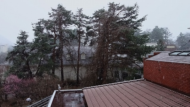 ロイヤルホテル河口湖