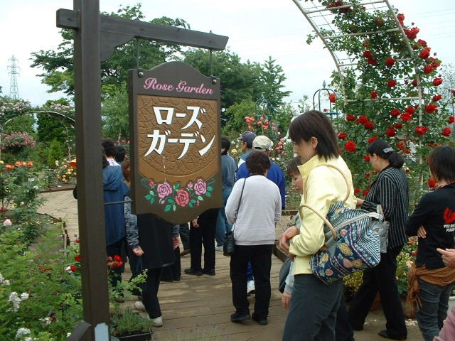 河口湖音楽と森の美術館（旧 河口湖オルゴールの森）