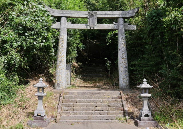 �V�蒷�j�_��