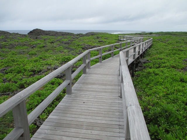 下地島の通り池