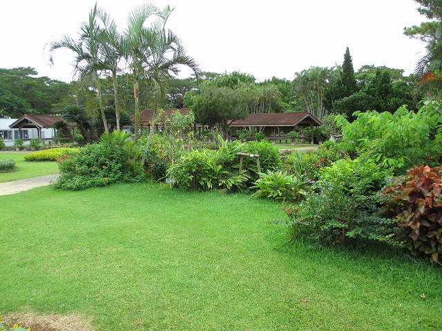 �{�Ó��s�M�ѐA����