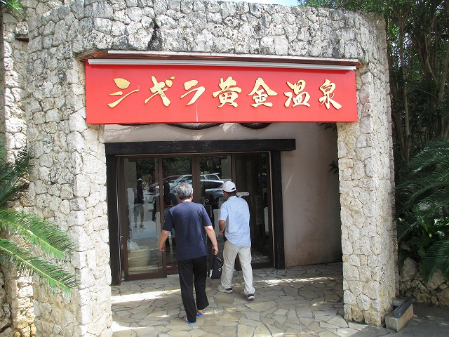 �V�M����������