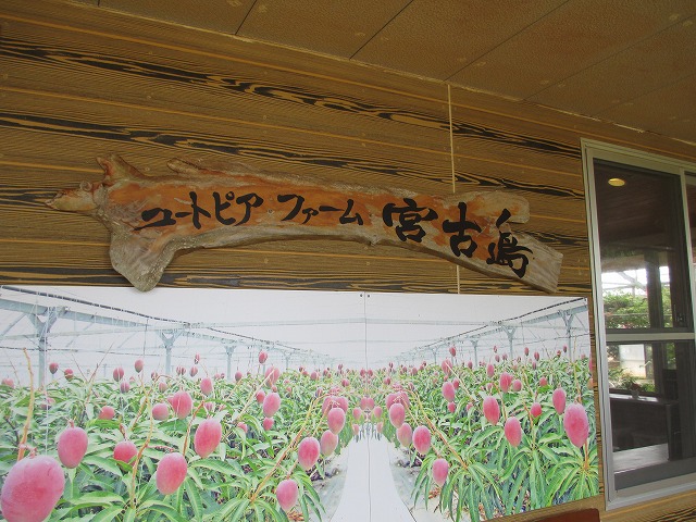 ユートピアファーム宮古島