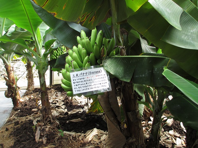 ユートピアファーム宮古島