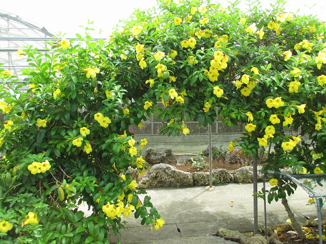 ユートピアファーム宮古島