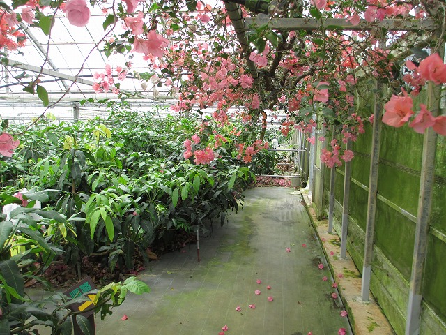 ユートピアファーム宮古島