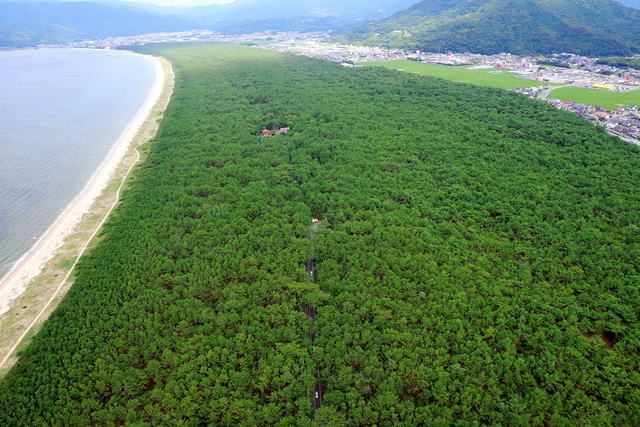 ���̏���