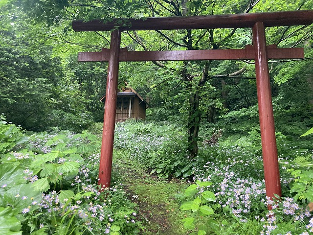 ���_� �������̏h ���i����