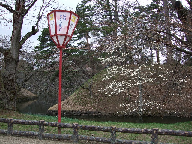 �O�O����(�O�O��)