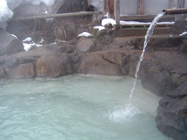 �������� ���Z����