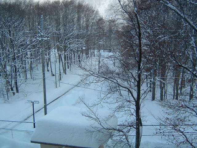 �������� ���Z����