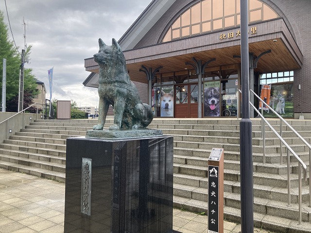 �H�c���̗�