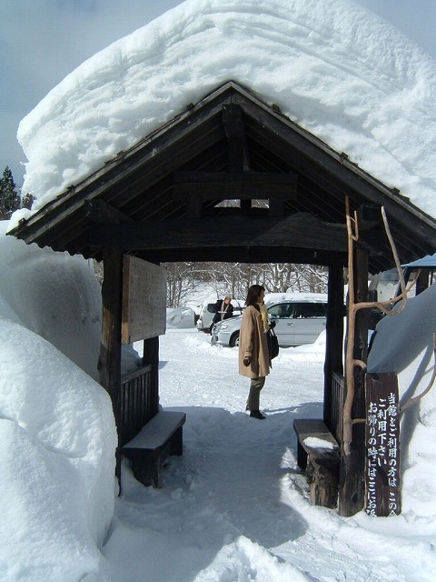 �������� �߂̓�����