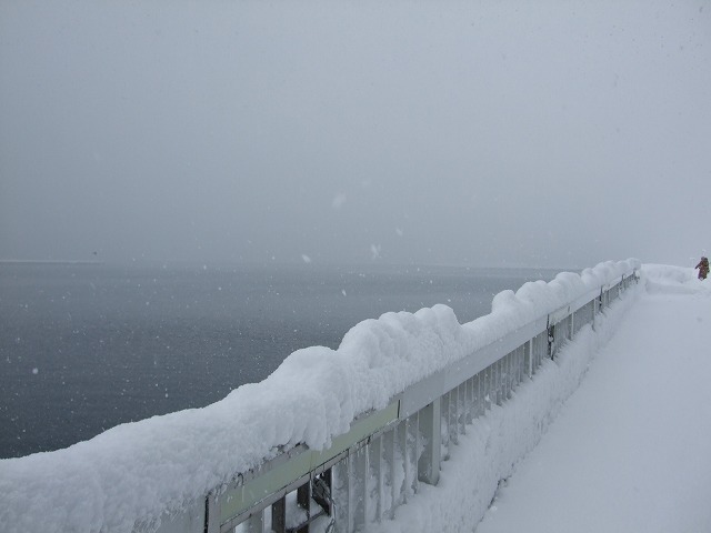 青森ベイブリッジ