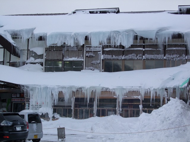 �_�������򗷊�