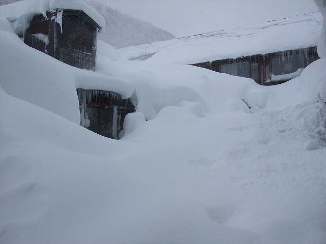 �_��������