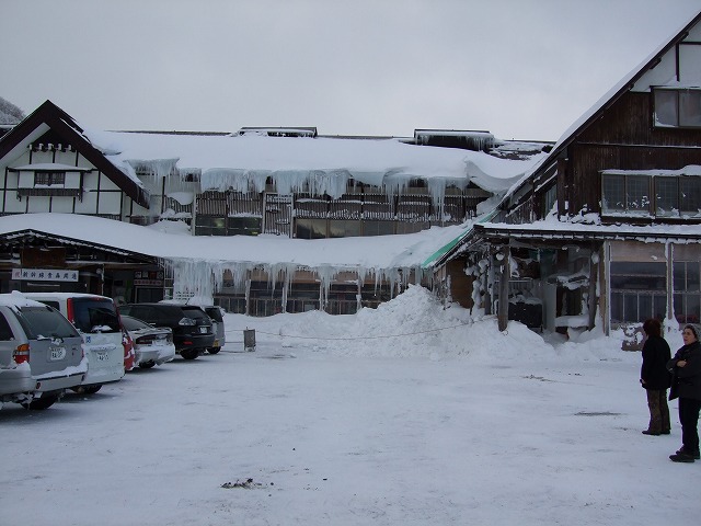 �_�������򗷊�