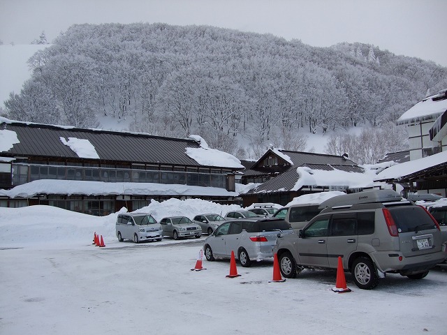 �_�������򗷊�